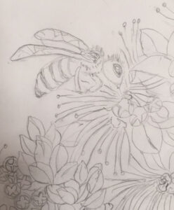 Honeybee Sketch