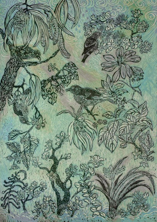 He Milimili Kihoihoi Andrea Pro Kcrs 2025